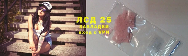 гашик Новокубанск
